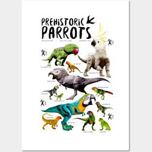 Prehistoric Parrots Posters and Art